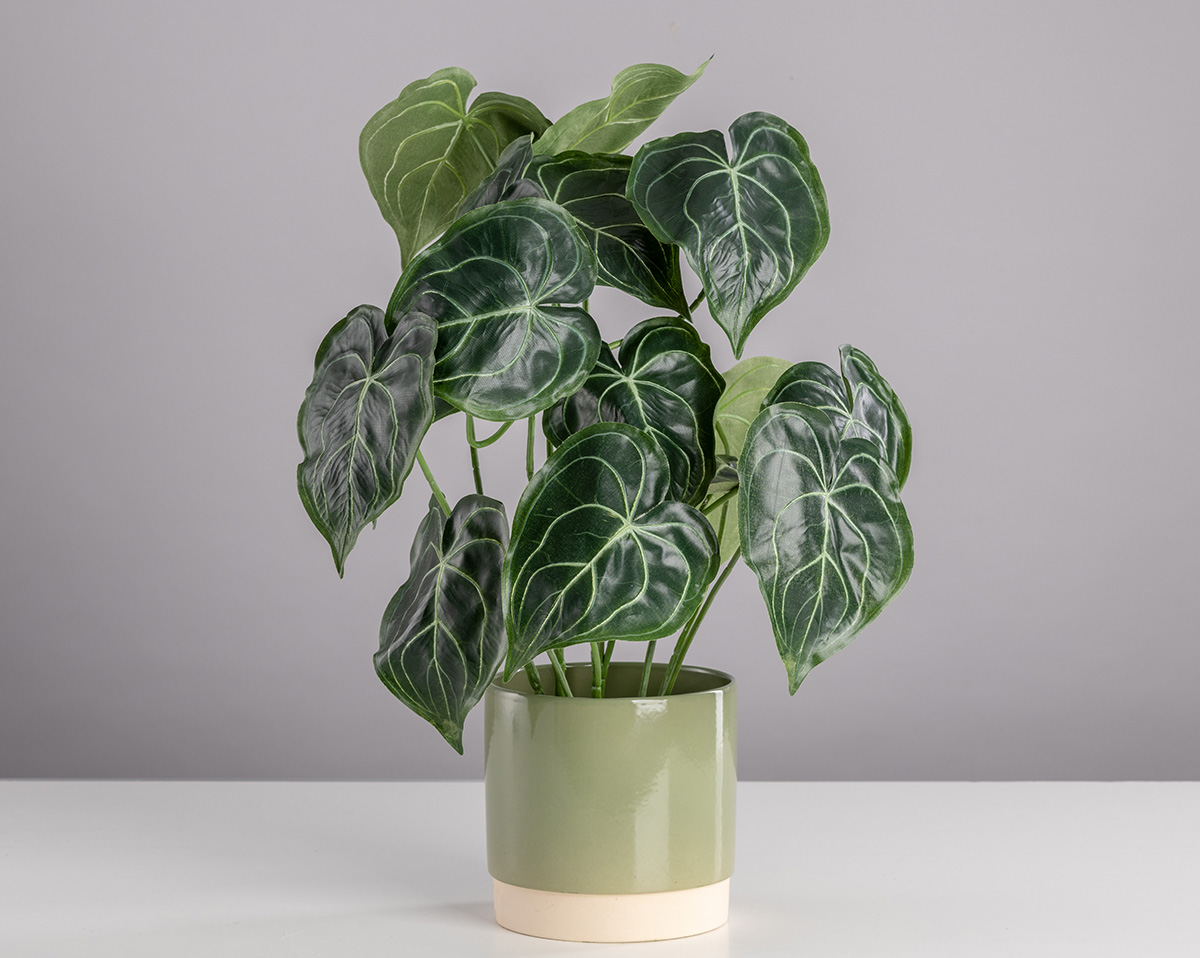 PEPEROMIA | Künstlicher Peperomia 