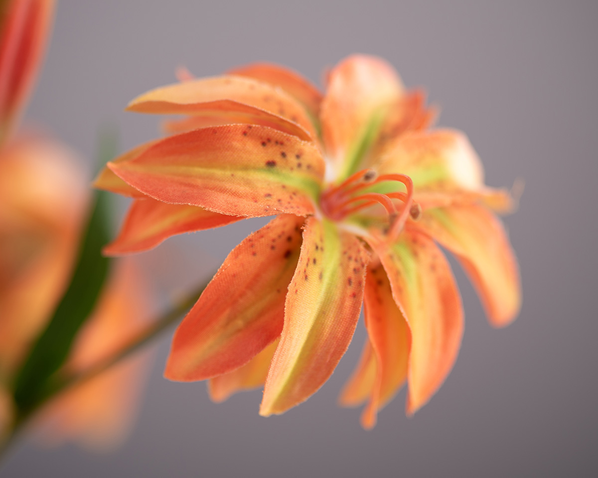 SOUTHERN SUN | Kunstblumengesteck in Topf