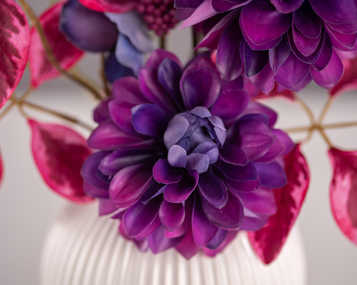 PURPLE DAHLIA | Kunstbumen 