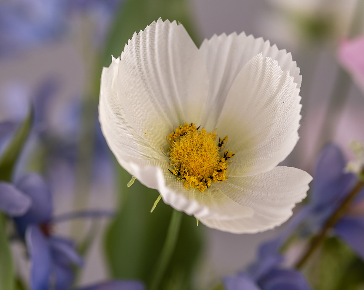 SOFT BLOOM | ohne Vase 