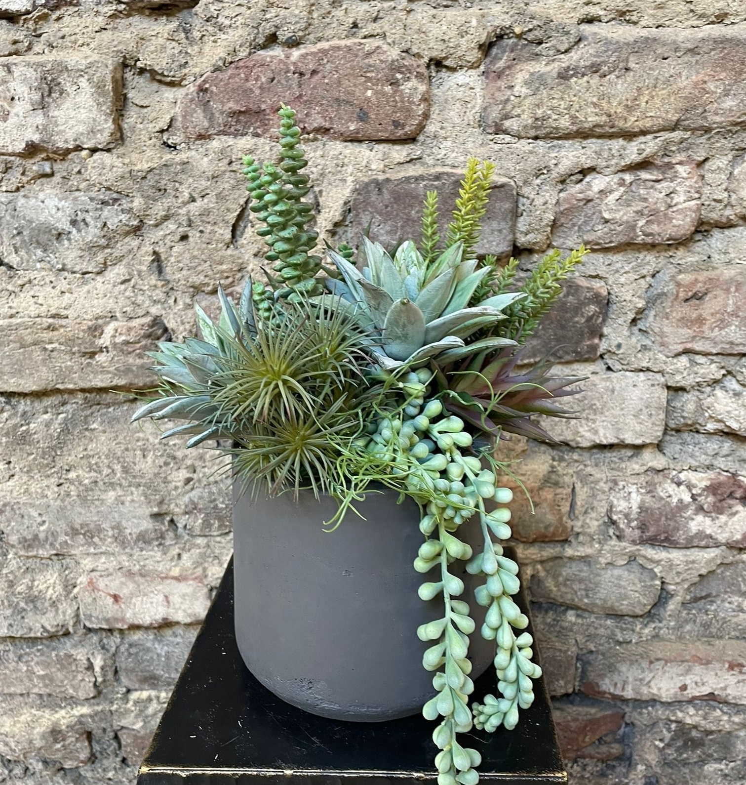 SUMMER  SELECT SIX | Kunstblumen  