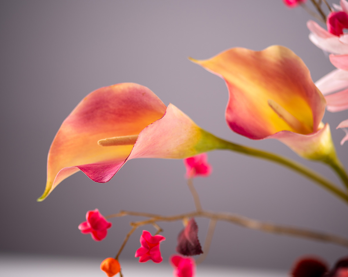 DARLING | Herbstarrangement 