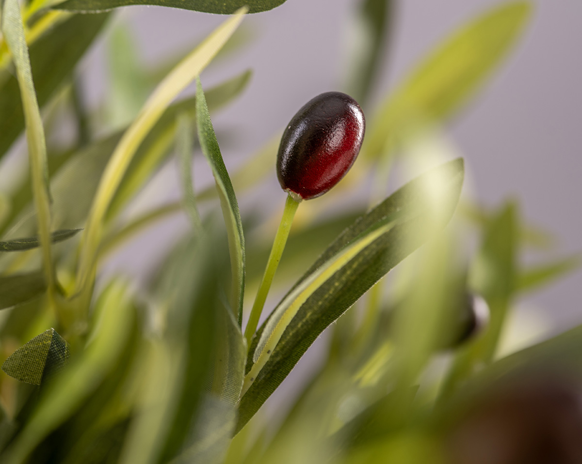 OLIVE  | Künstliches Olivenarrangement 
