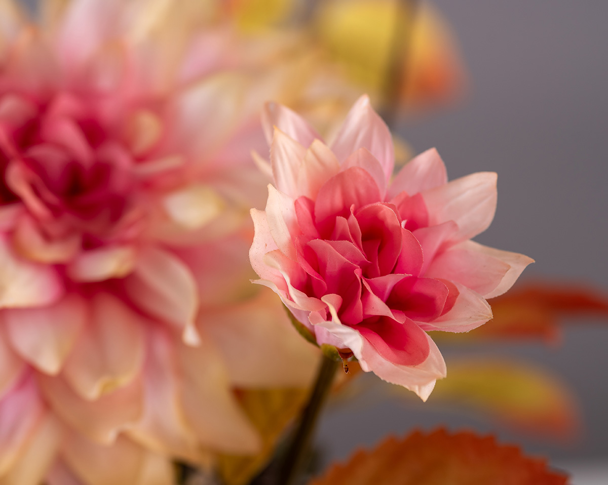 DAHLIEN POWDER | Kunstblumenarrangement 