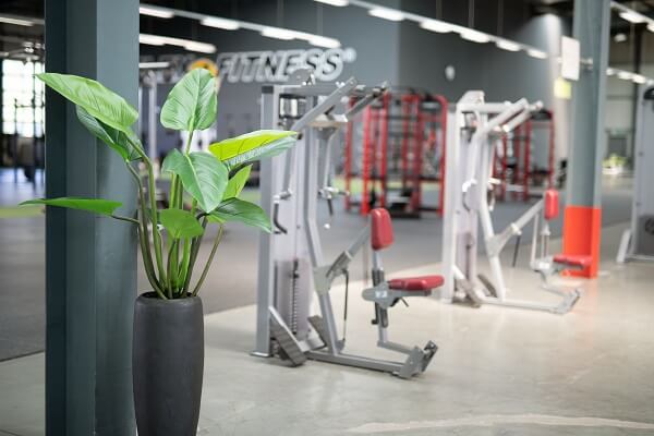 Innenraumbegruenung-Flexx-Fitness-11