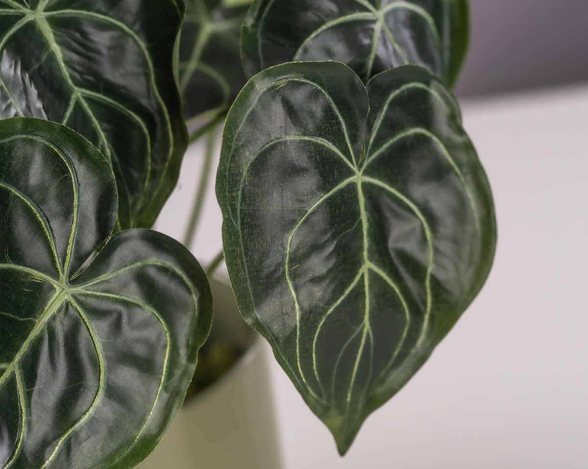 PEPEROMIA | Künstlicher Peperomia 
