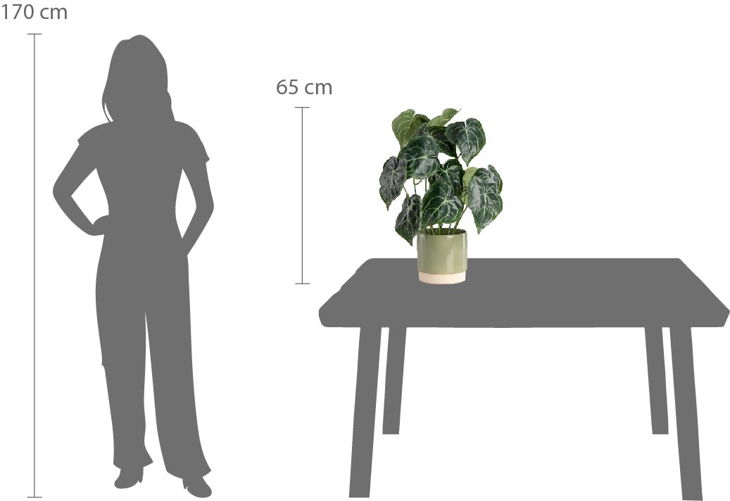 PEPEROMIA | Künstlicher Peperomia 