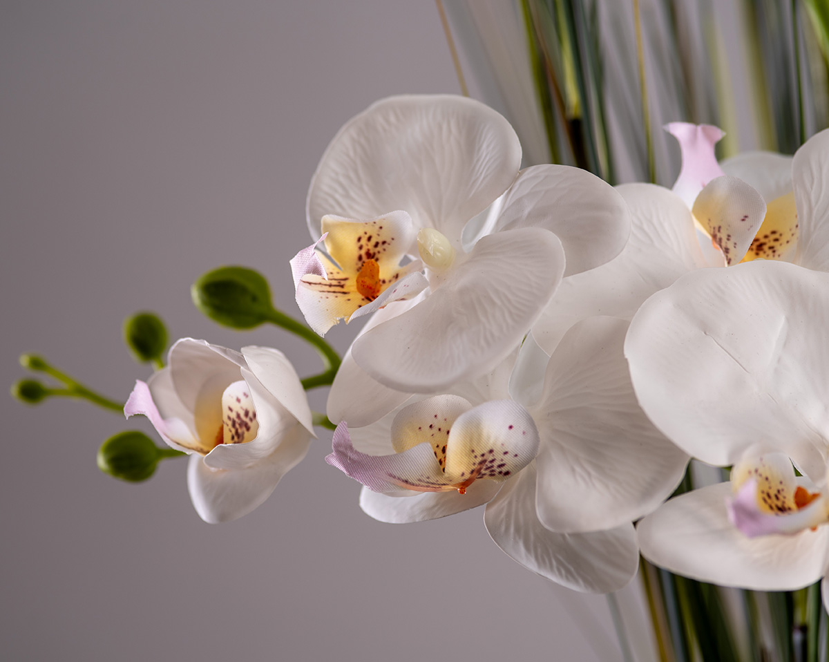 FOREVER TIMELESS BIG  | Künstliche Orchidee