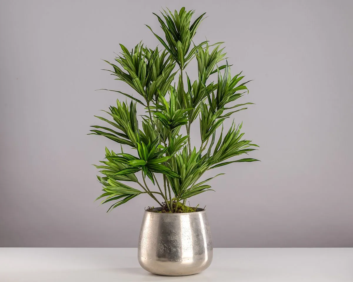 DRACENA | Kunstpflanze