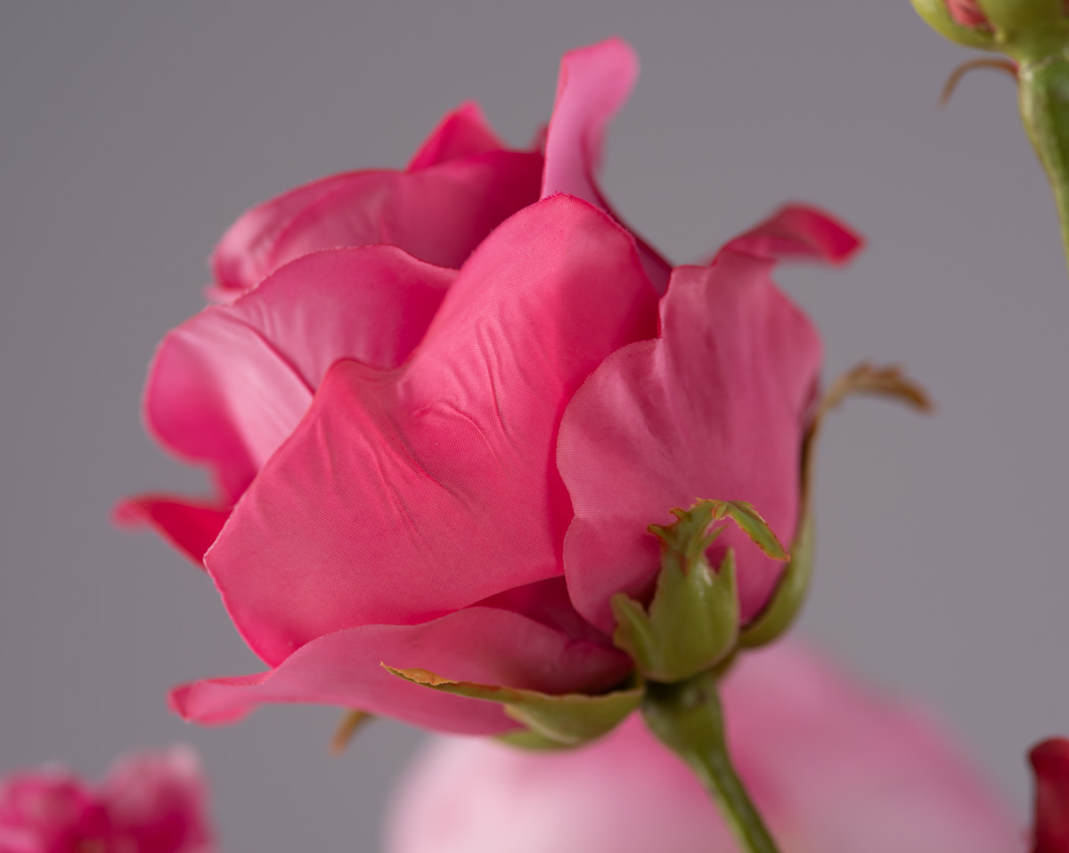 PINK VALENTINE | Ohne Vase 