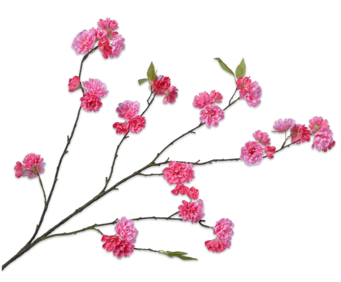 BLÜTENZWEIGE | Künstliche Kirschblütenzweige 2 Stück, pink