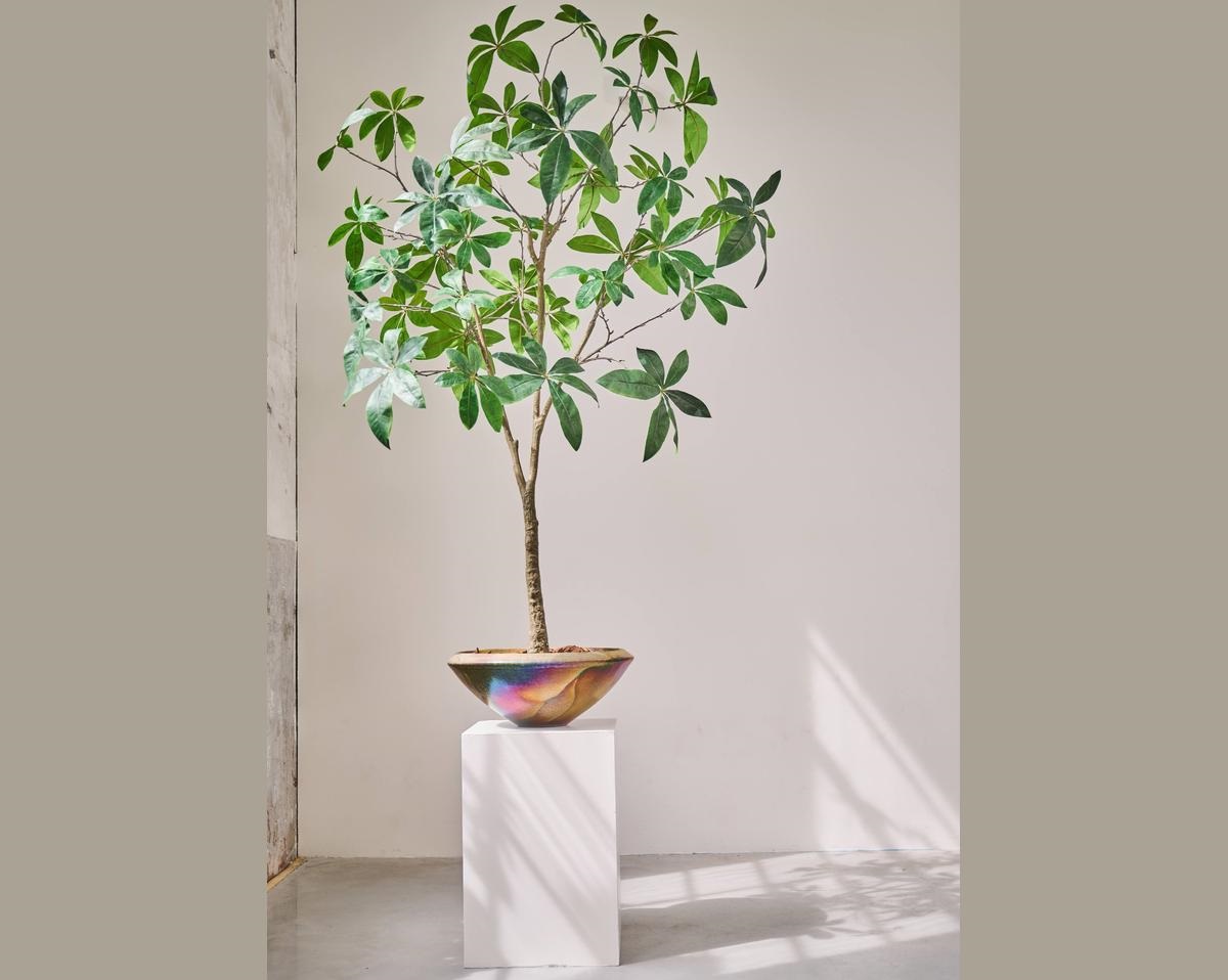 FR MAGNOLIE | Schwer entflammbar
