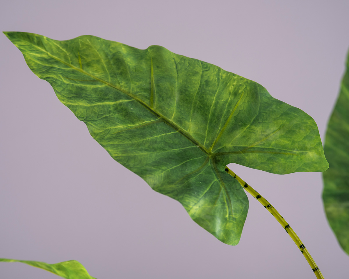 ALOCASIA ZEBRA | Künstliche Alocasie in Topf 