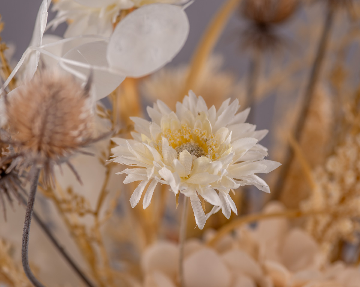 LIGHT BOHO | Kunstblumen  