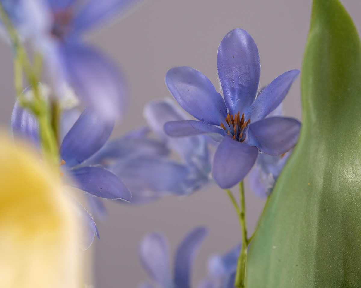 SOFT BLOOM | ohne Vase 