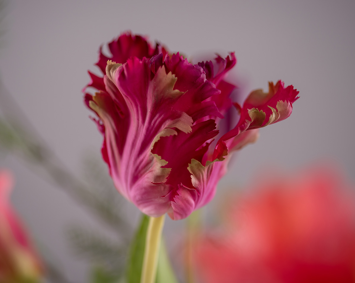 TULPENLIEBE | Künstliches Tulpengesteck