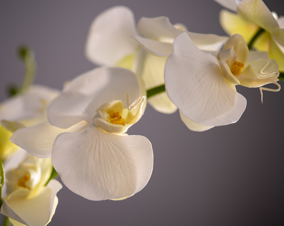 ORCHIDEE | Große künstliche Orchidee im Topf 