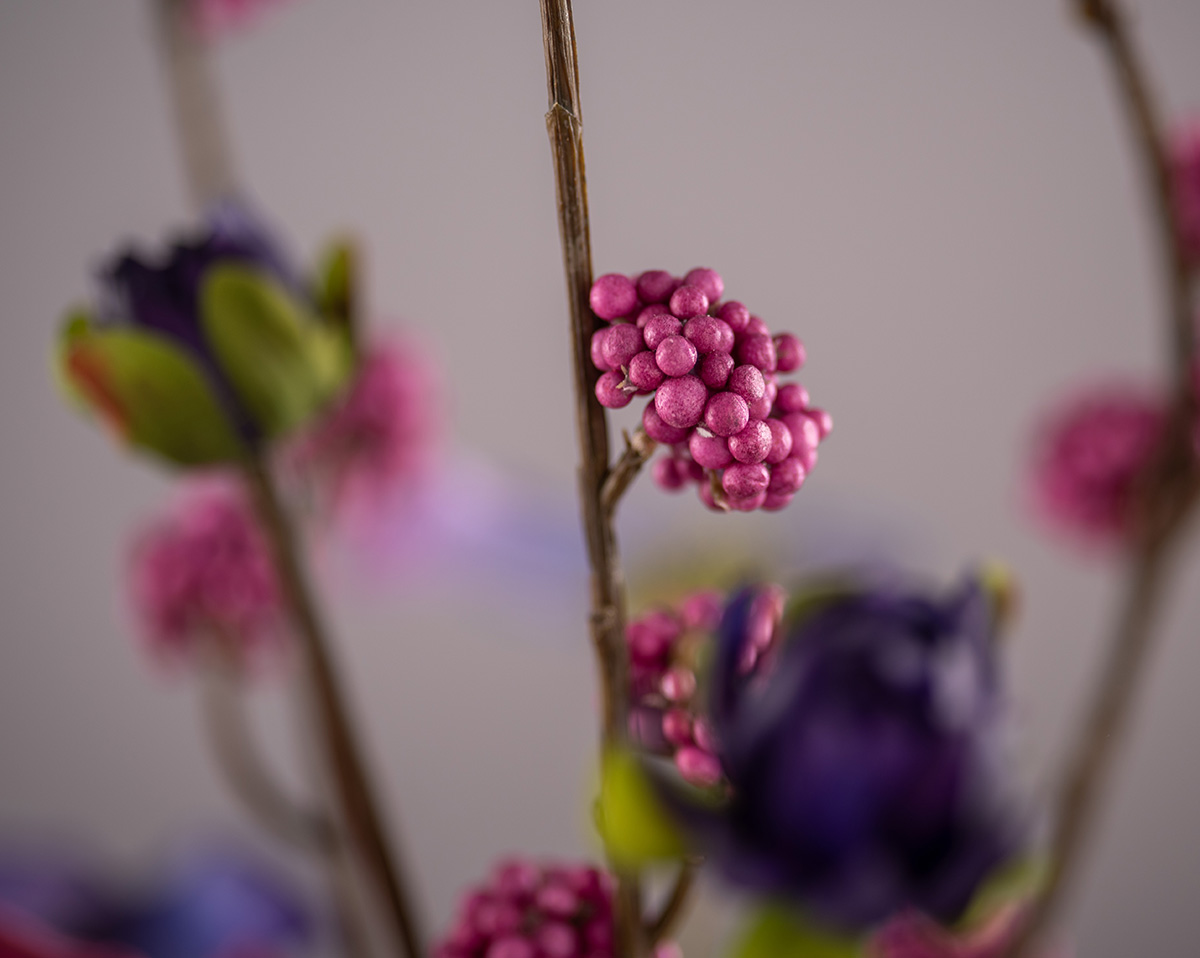 PURPLE DAHLIA | Kunstbumen 