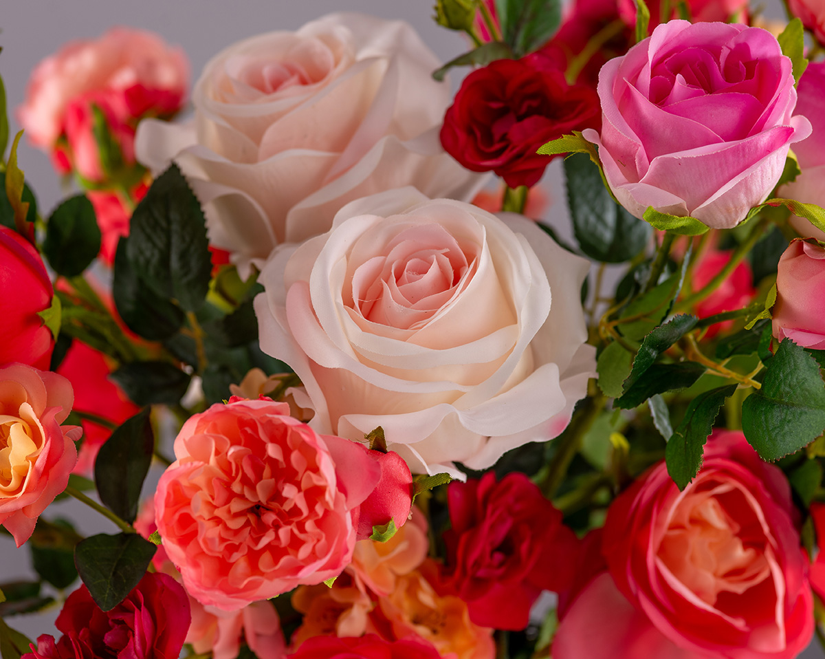 DREAM OF ROSES | Real Touch
