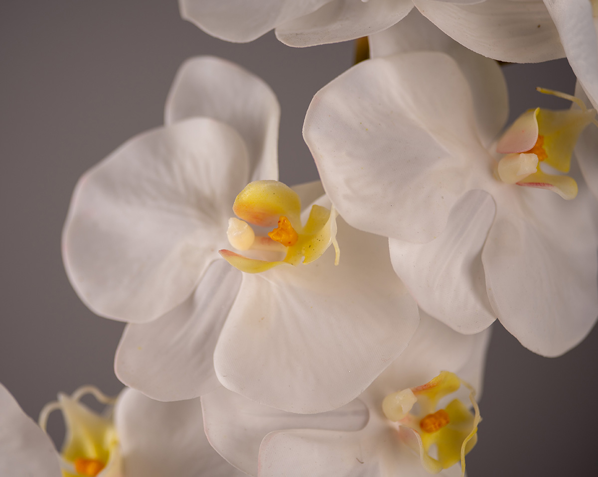 FOREVER TIMELESS | Künstliche Orchidee