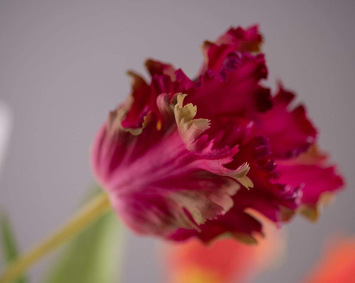 MY FAIR LADY | Gesteck mit künstlichem Flieder und Tulpen 