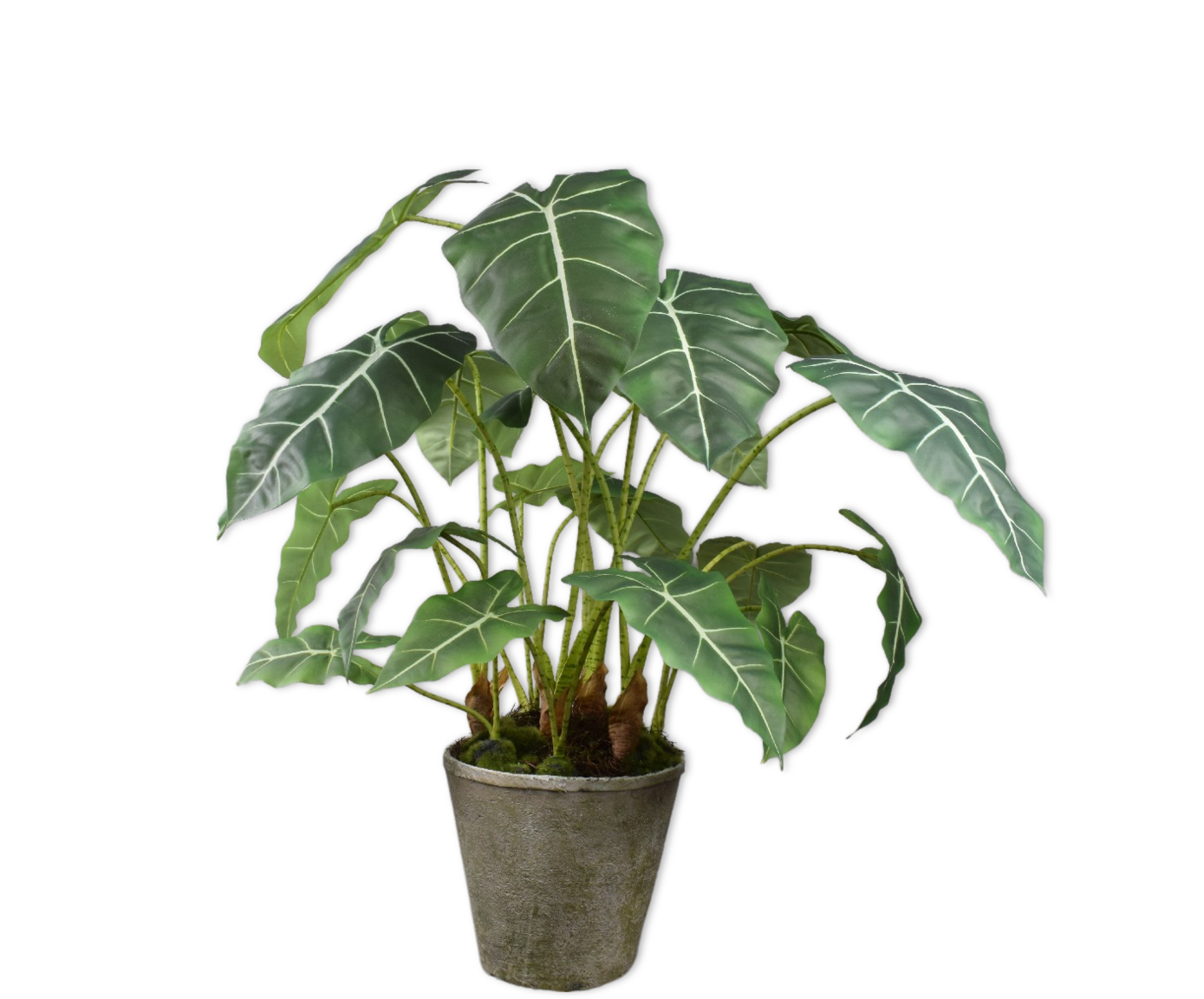 ALOCASIA | Elefantenohr Kunstpflanze, 86 cm 