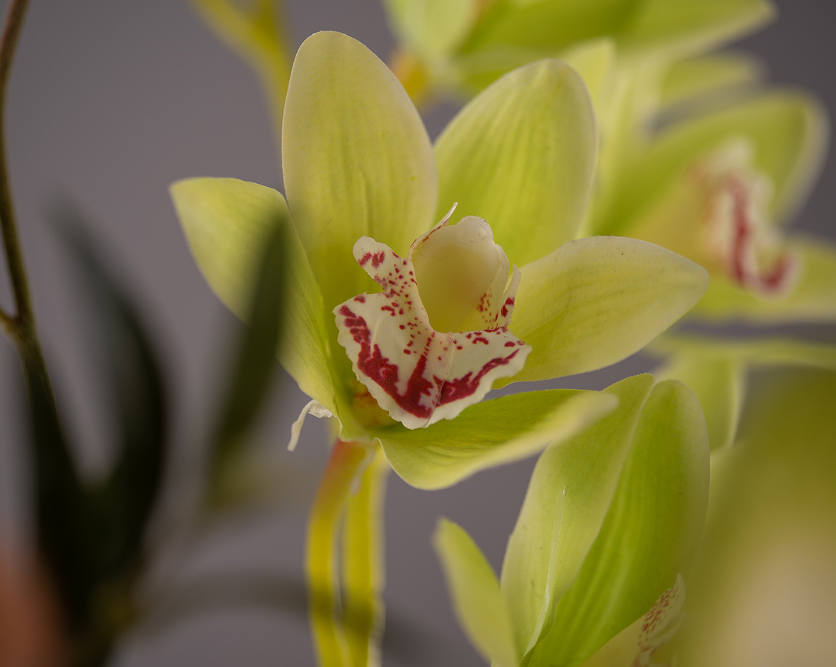 GREENSTYLE | Arrangement aus grünen Kunstblumen