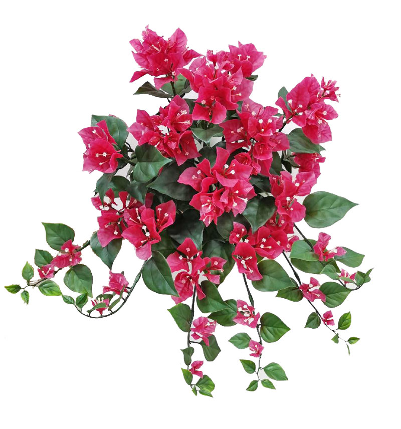 BOUGAINVILLAE | Ø 50cm, UV sicher  