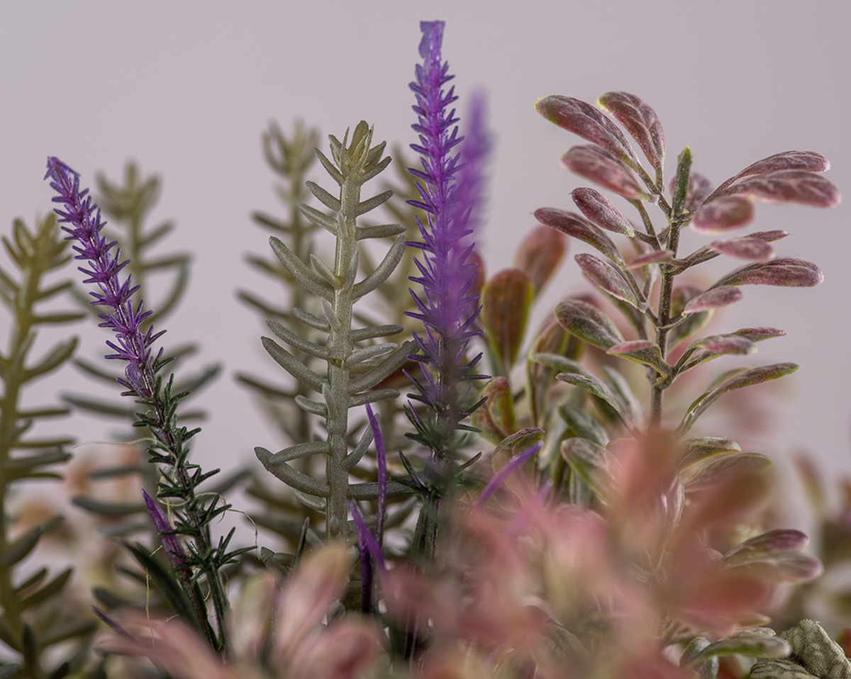 KRÄUTER DUO | Kunstblumen