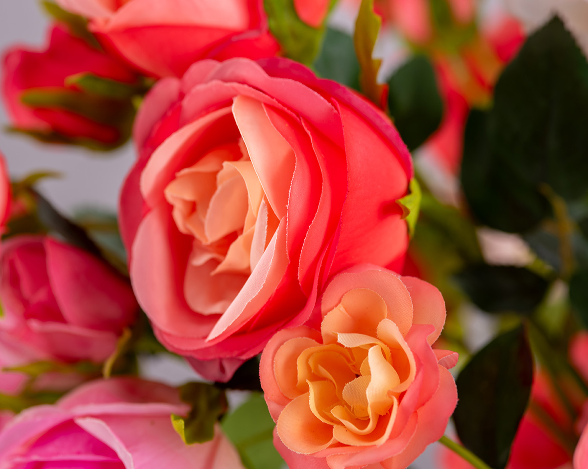 DREAM OF ROSES | Real Touch