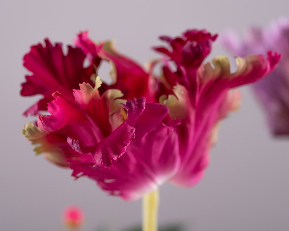 TROPICAL SPRING | Mit bunten Kunstblumen