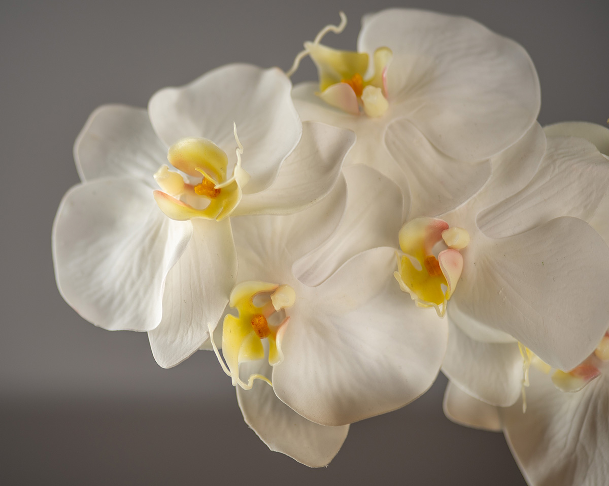 FOREVER TIMELESS | Künstliche Orchidee