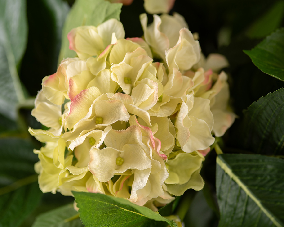 HORTENSIE I Weiß | Künstliche Hortensie  