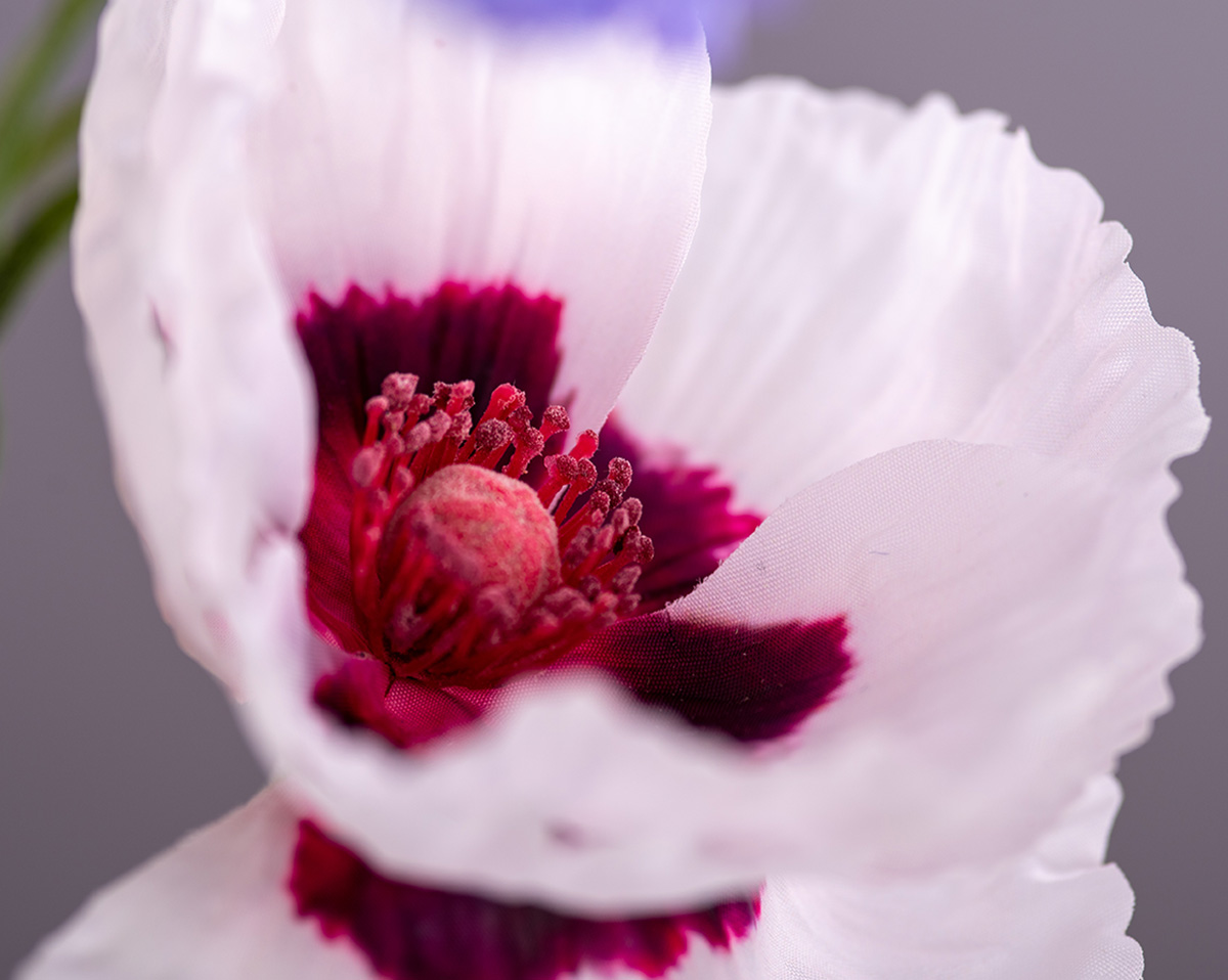 FRIENDS | Kunstblumen in Keramikvase