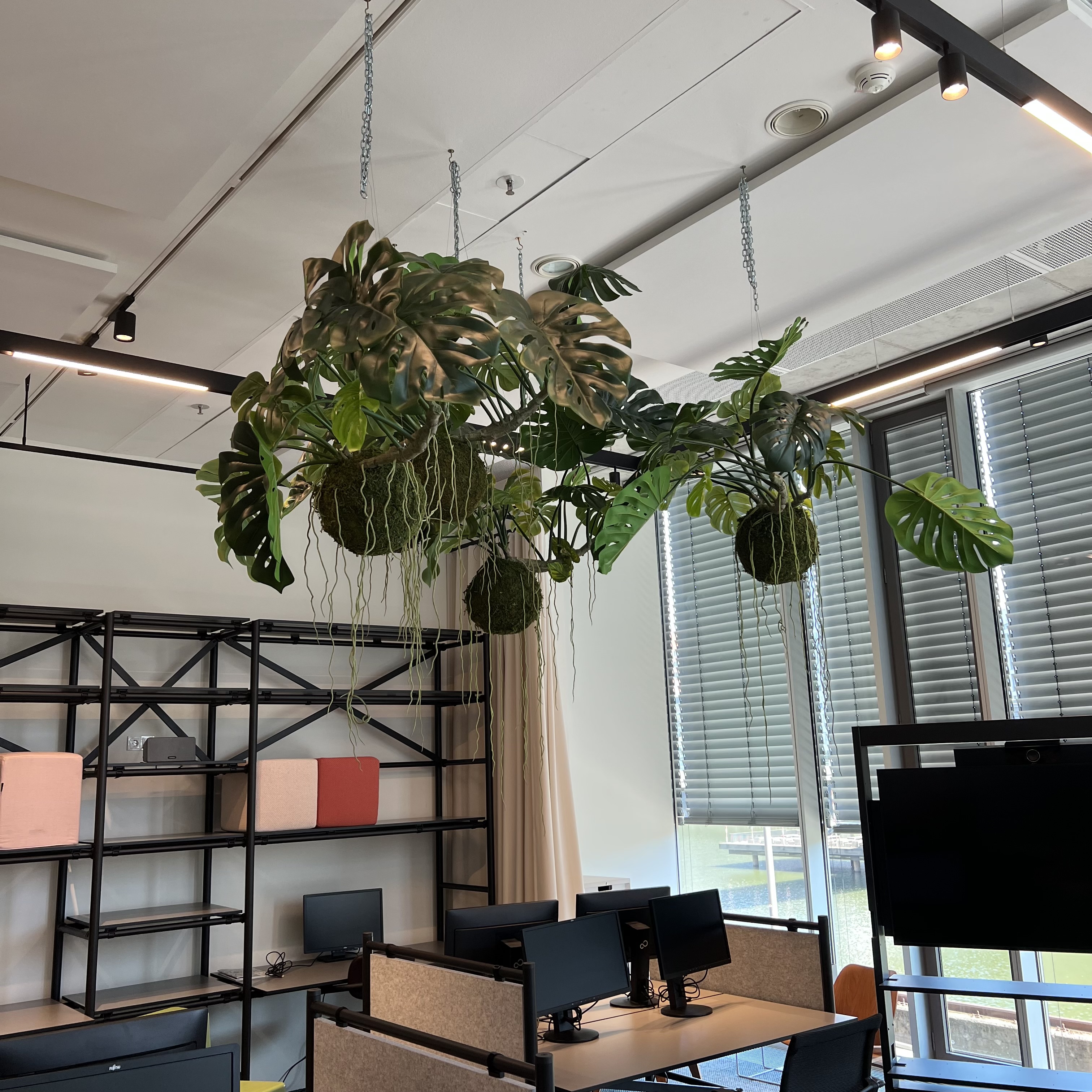 MONSTERA I Hanging 