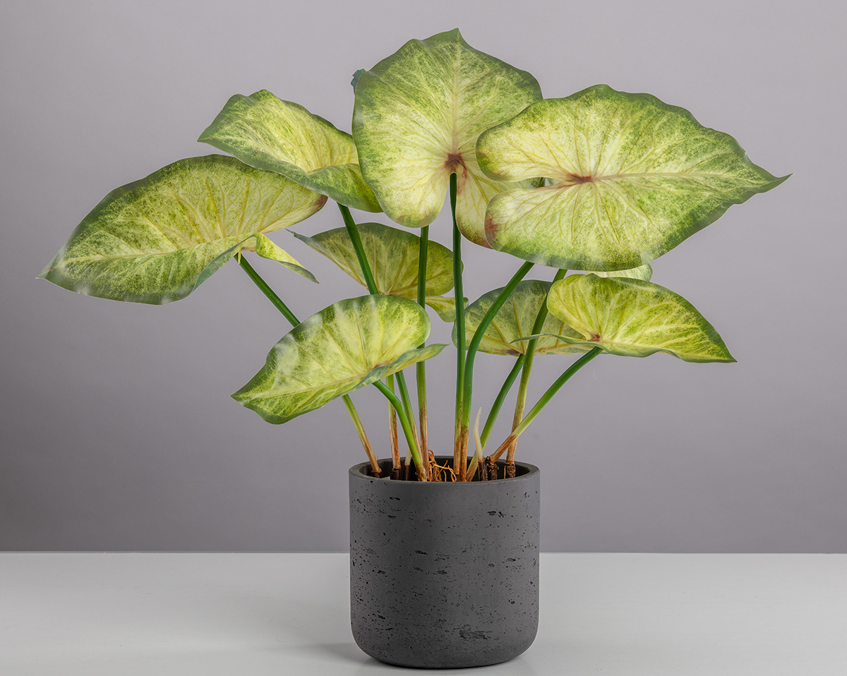 WILD TARO | Künstlicher Wild Taro in Topf