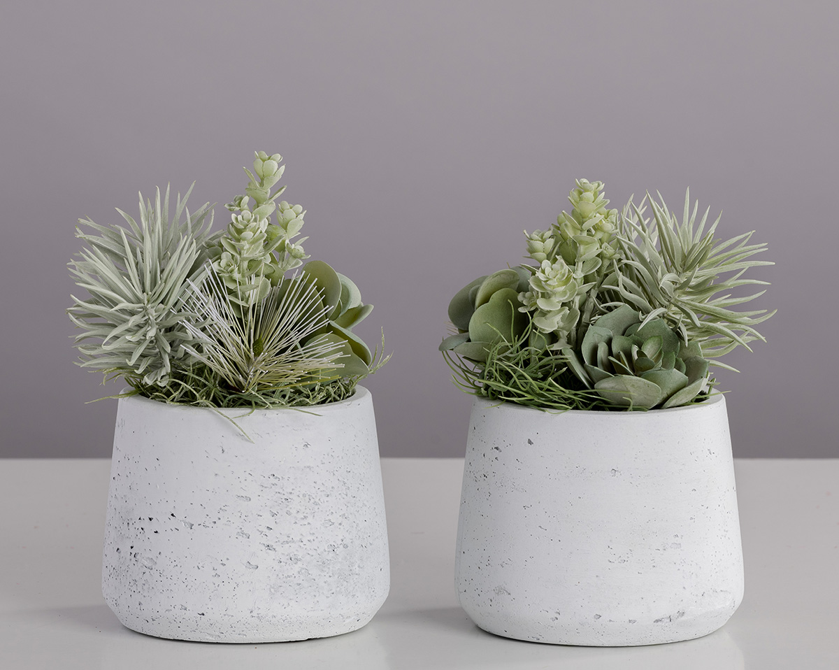 MINI SUKKULENTEN white  | Künstliche Sukkulenten im Set 