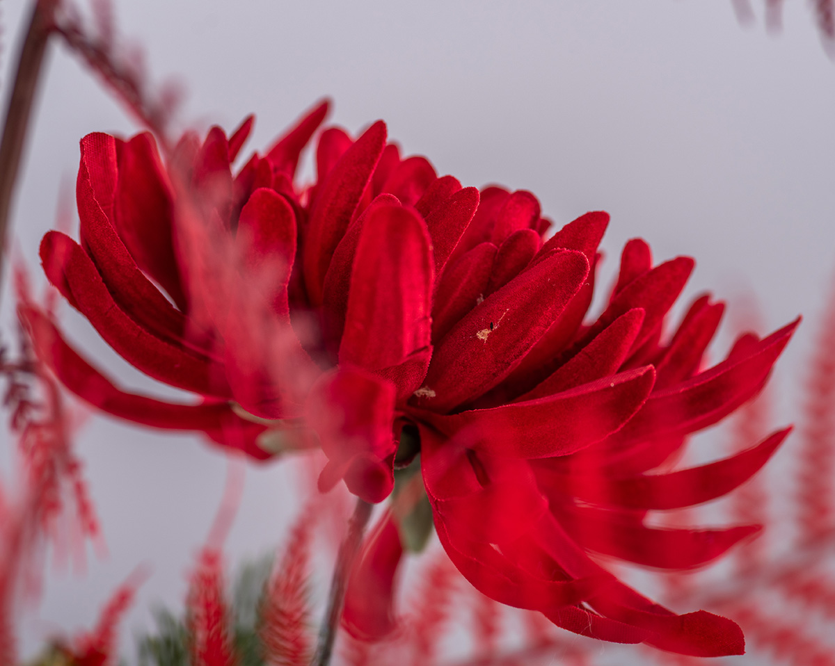 RED FLOWERS | Modernes Kunstblumenarrangement