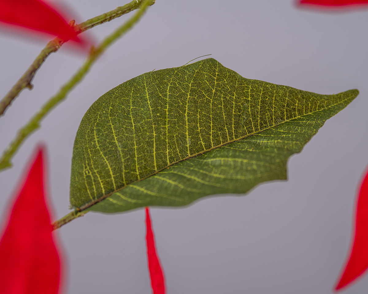CHRISTMAS SPLASH | Moderne Kunstblumen