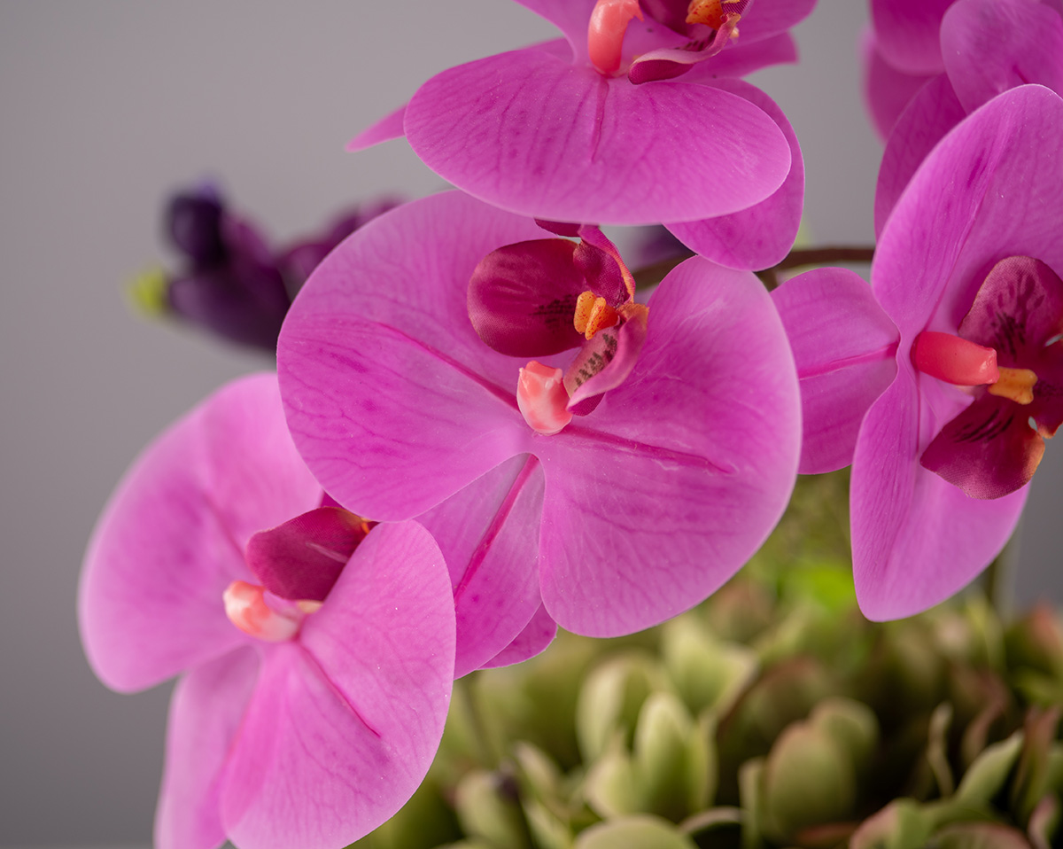 PINKY ORCHID | künstliche Orchideen