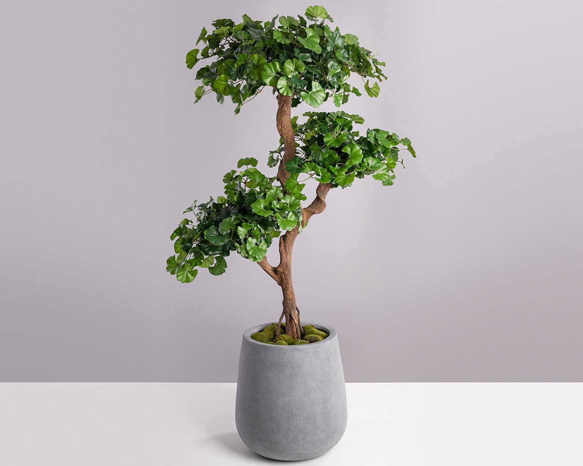 SET GINGKO | Kunstpflanze Gingko in Pax