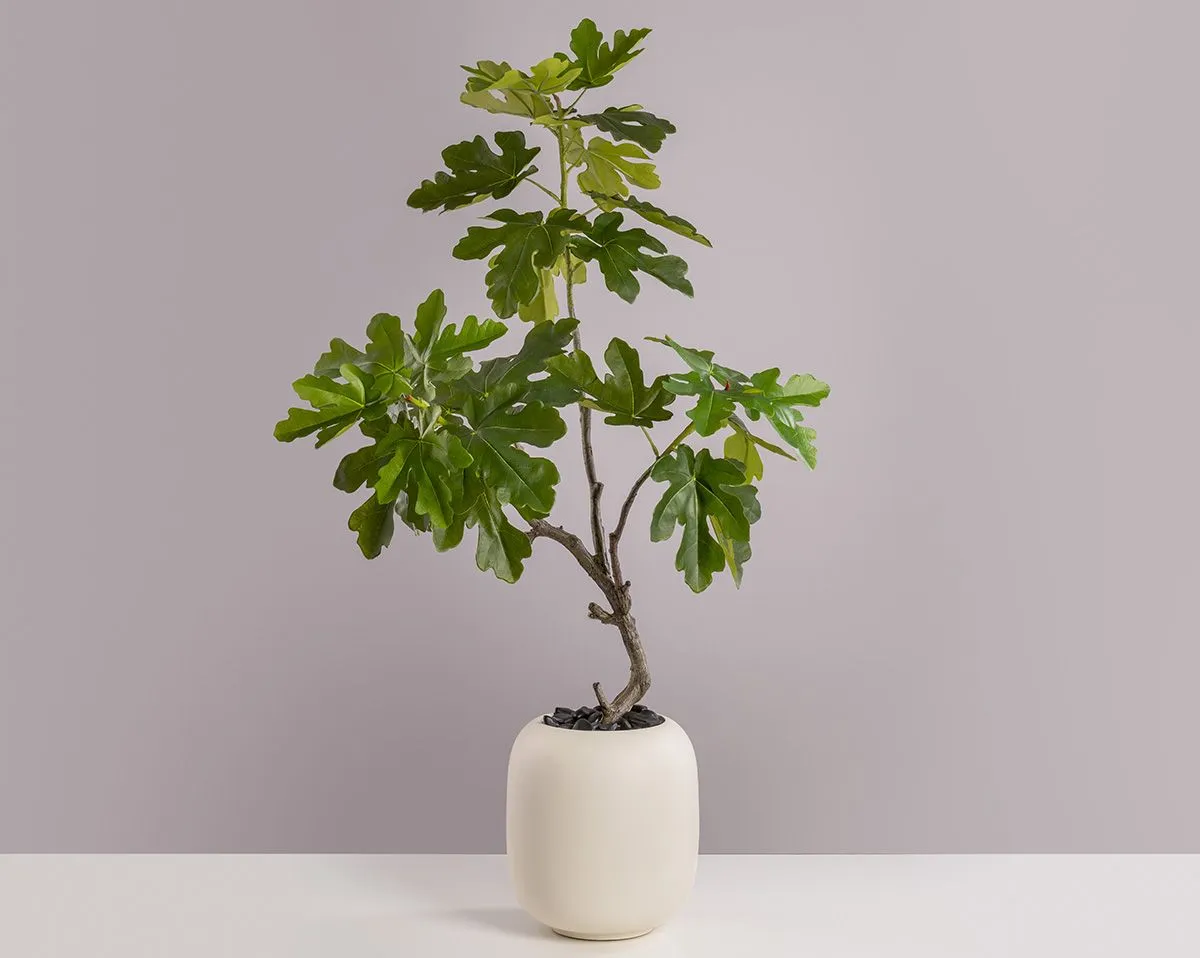 FEIGENBAUM | Kunstpflanzen