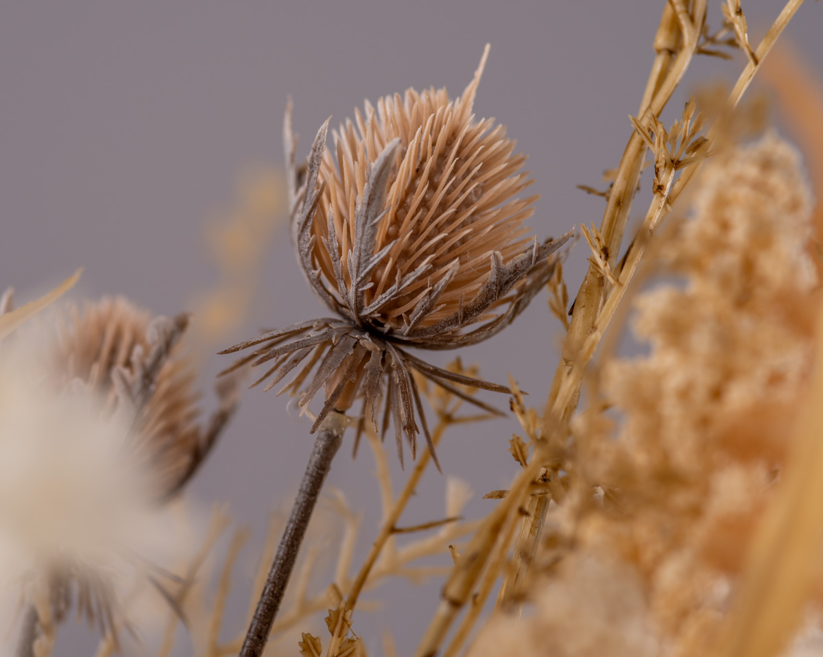 LIGHT BOHO | Kunstblumen  