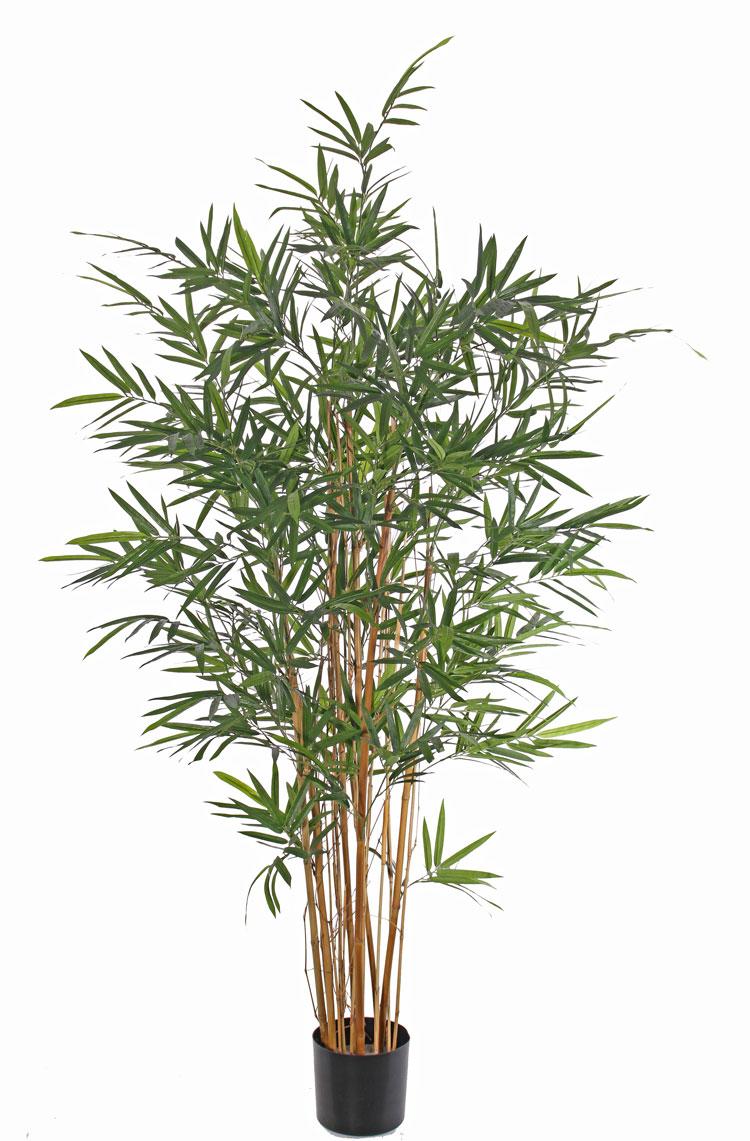 Bambus | 170 cm, UV sicher 