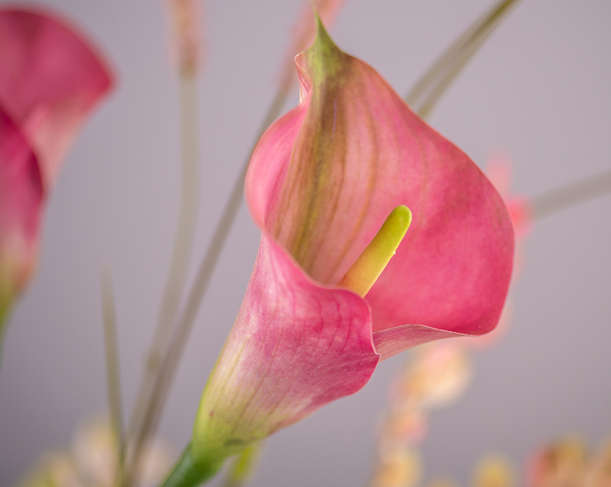 PRIDE | Kunstblumengesteck 