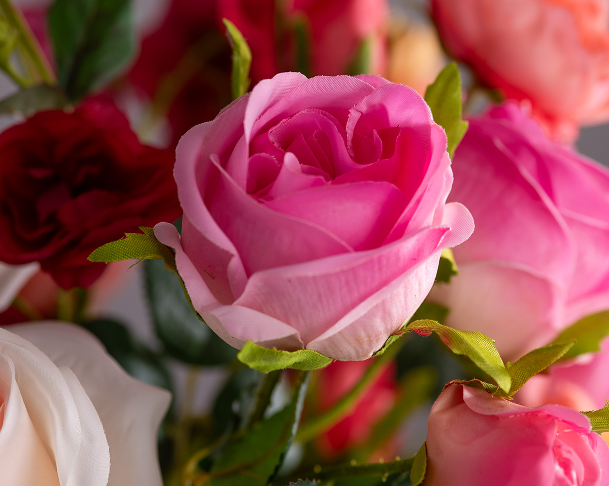 DREAM OF ROSES | Real Touch