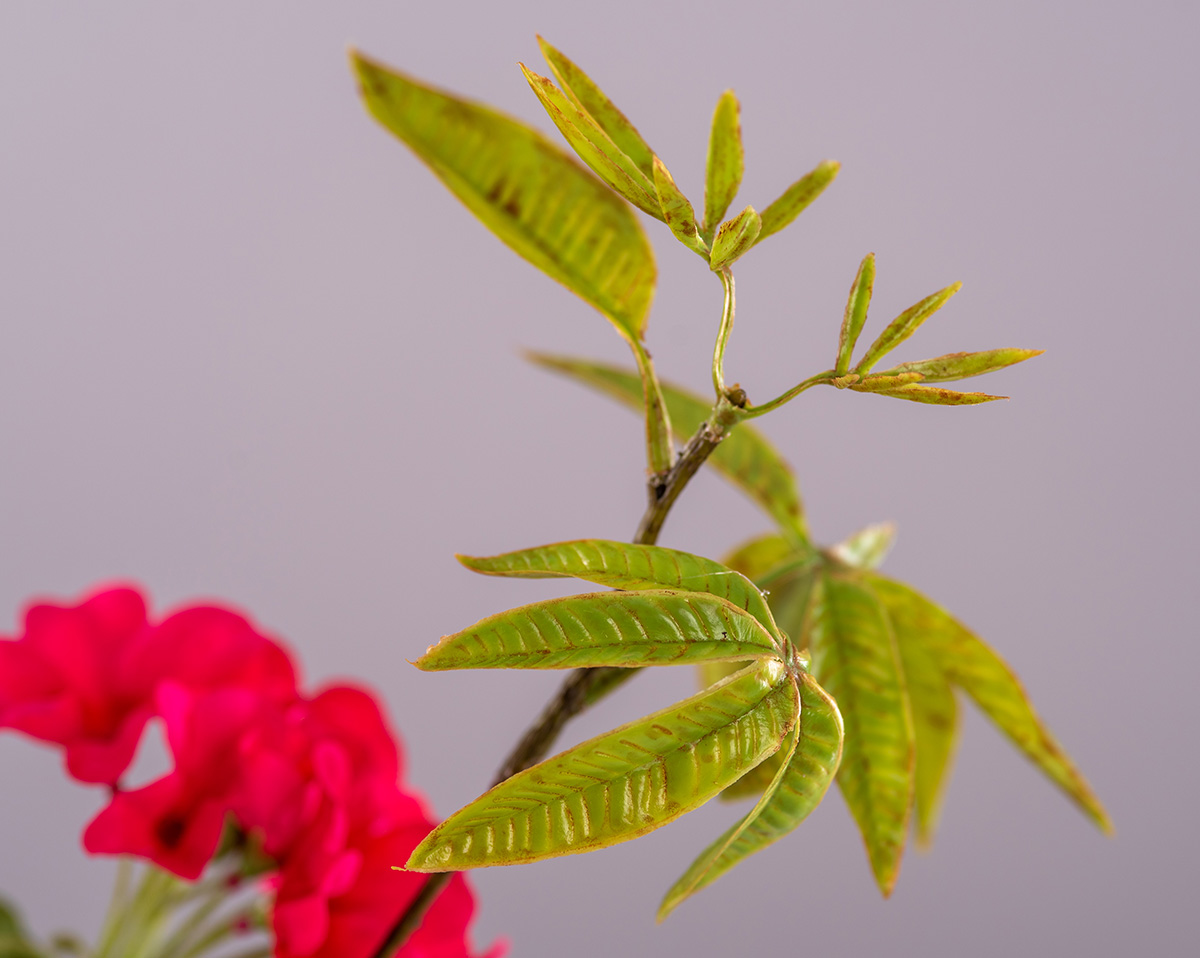 FREEDOM | Kunstblumen in Vase