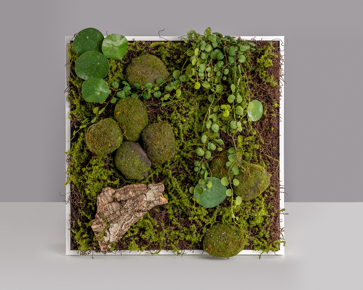 PFLANZENBILD NATURE | Bild aus Kunstpflanzen 
