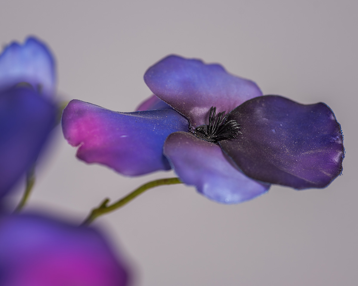 MIDNIGHT | Kunstblumen