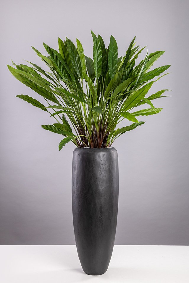 Kunstpflanzen Set Black Calathea
